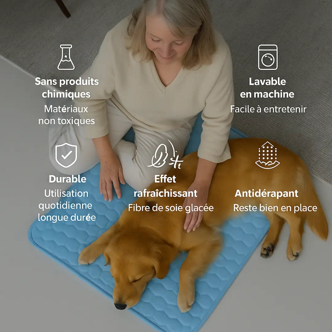 ZENFRESH™ | Fraîcheur Instantanée
