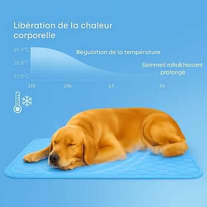 ZENFRESH™ | Fraîcheur Instantanée