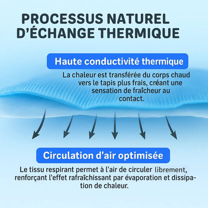 ZENFRESH™ | Fraîcheur Instantanée