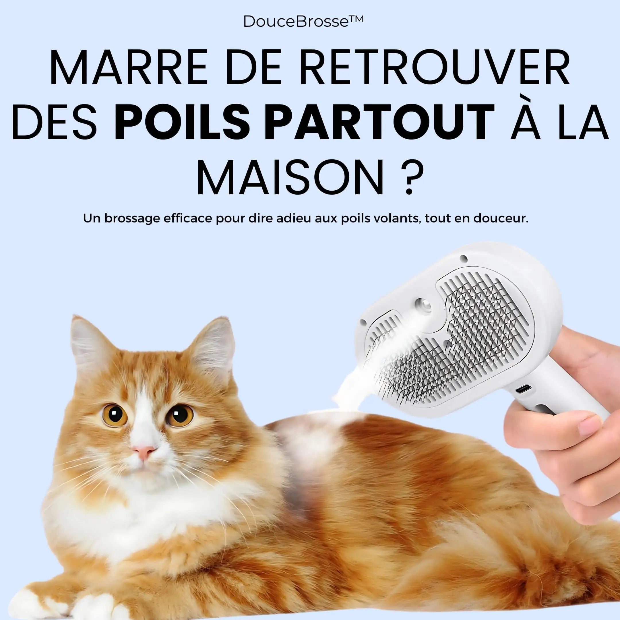 DouceBrosse™|Élimine les poils sans douleur