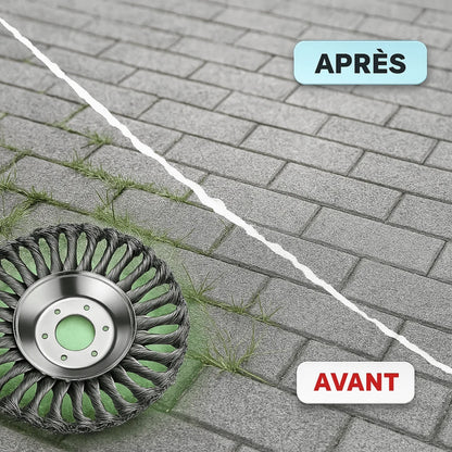 TornadoBrush™| Désherbe tout, Sans effort 🌪️