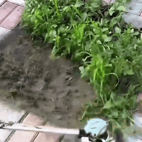 TornadoBrush™| Désherbe tout, Sans effort 🌪️