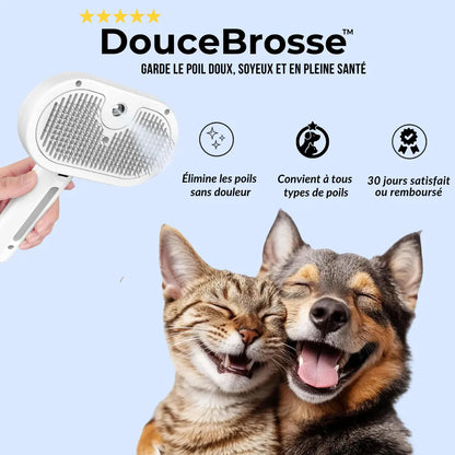 DouceBrosse™|Élimine les poils sans douleur